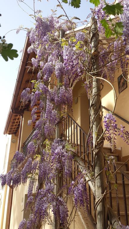 Agriturismo Casal Taccone Apartamento Tarquinia Exterior foto